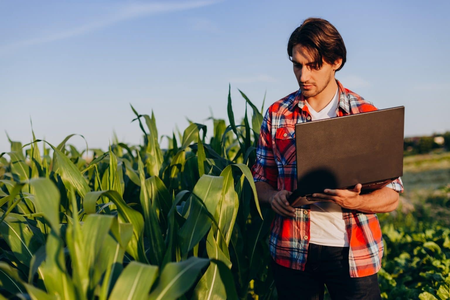 farmer standing in field holding open laptop and taking control of yield 1 Copiar