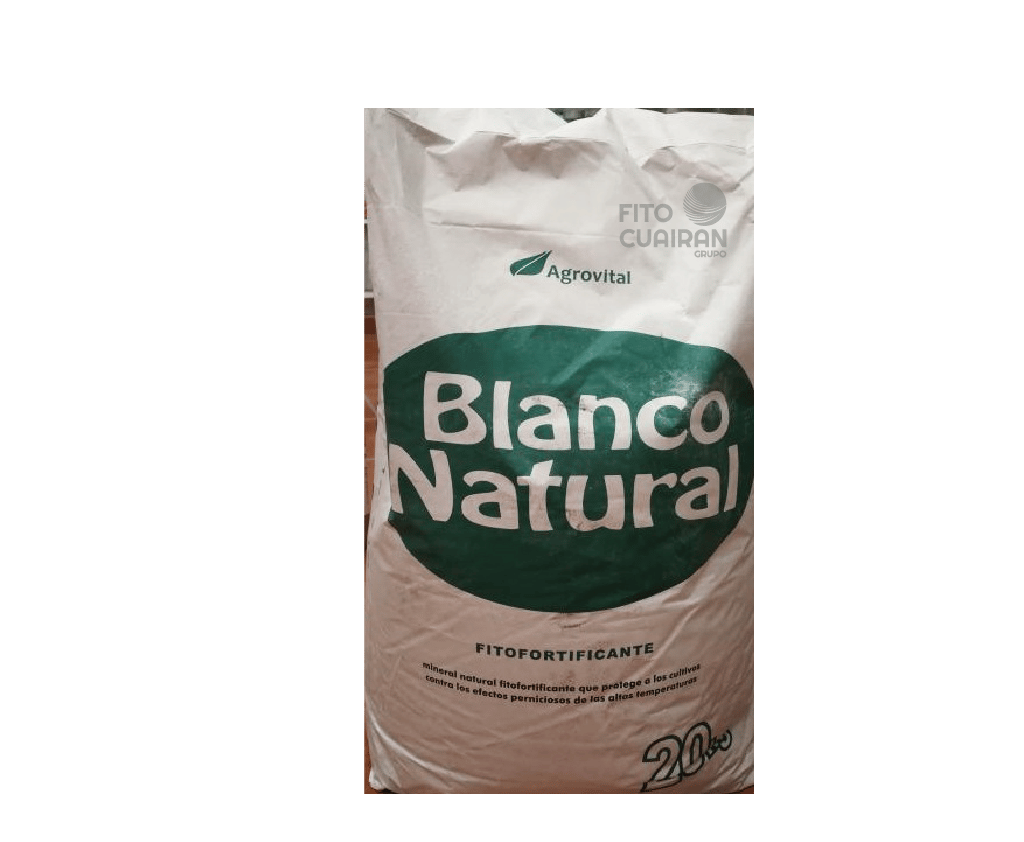 BLANCO NATURAL 20 KILOS