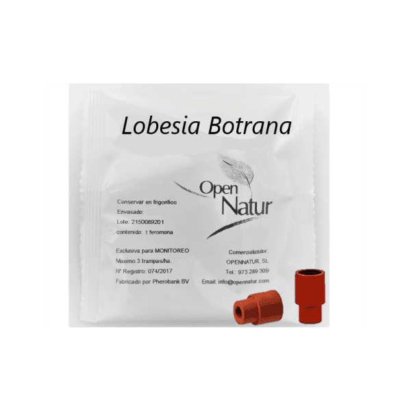 LOBESIA BOTRANA