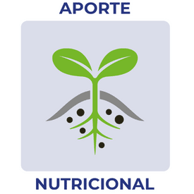 Aporte nutricional 1