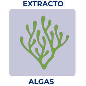 Extracto Algas