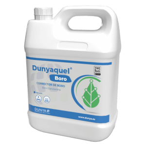 DUNYAQUEL BORO