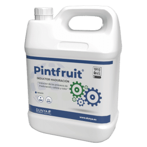PINTFRUIT
