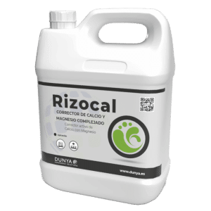 RIZOCAL
