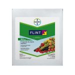 FLINT