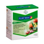 FLINT MAX