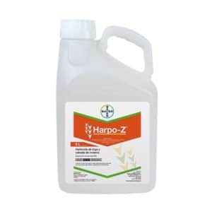 HARPO Z