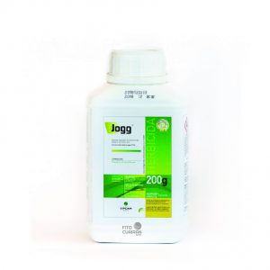 JOGG