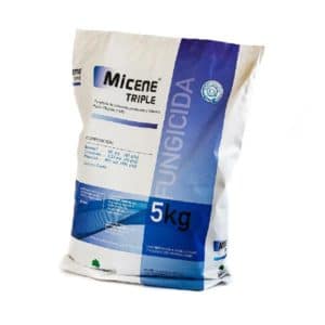 MICENE WP