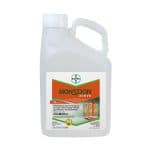 MONSOON ACTIVE OD