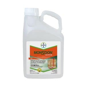 MONSOON ACTIVE OD