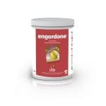 ENGORDONE