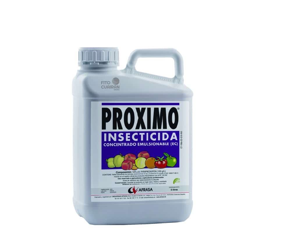 PROXIMO