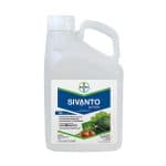SIVANTO PRIME 20 SL