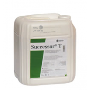 SUCCESSOR T