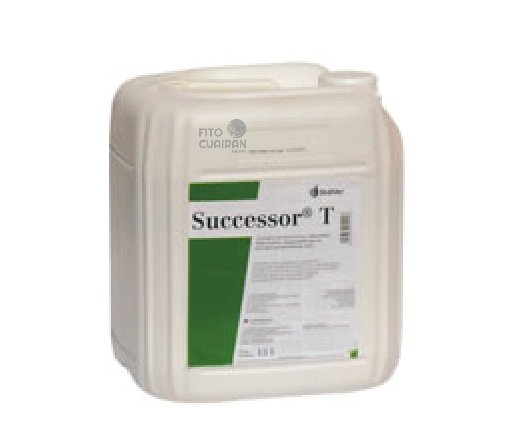 SUCCESSOR T