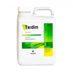 TERDIM