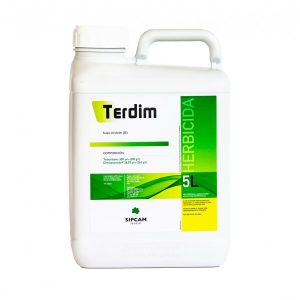 TERDIM