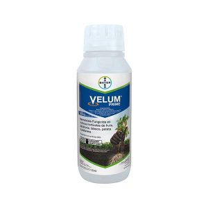 VELUM PRIME