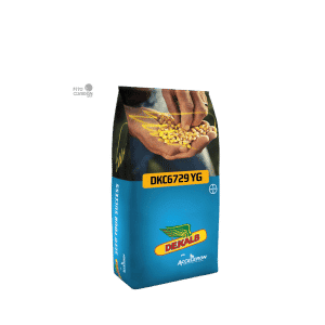 MAIZ DEKALB 4974