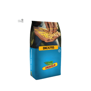 MAIZ DEKALB 4974