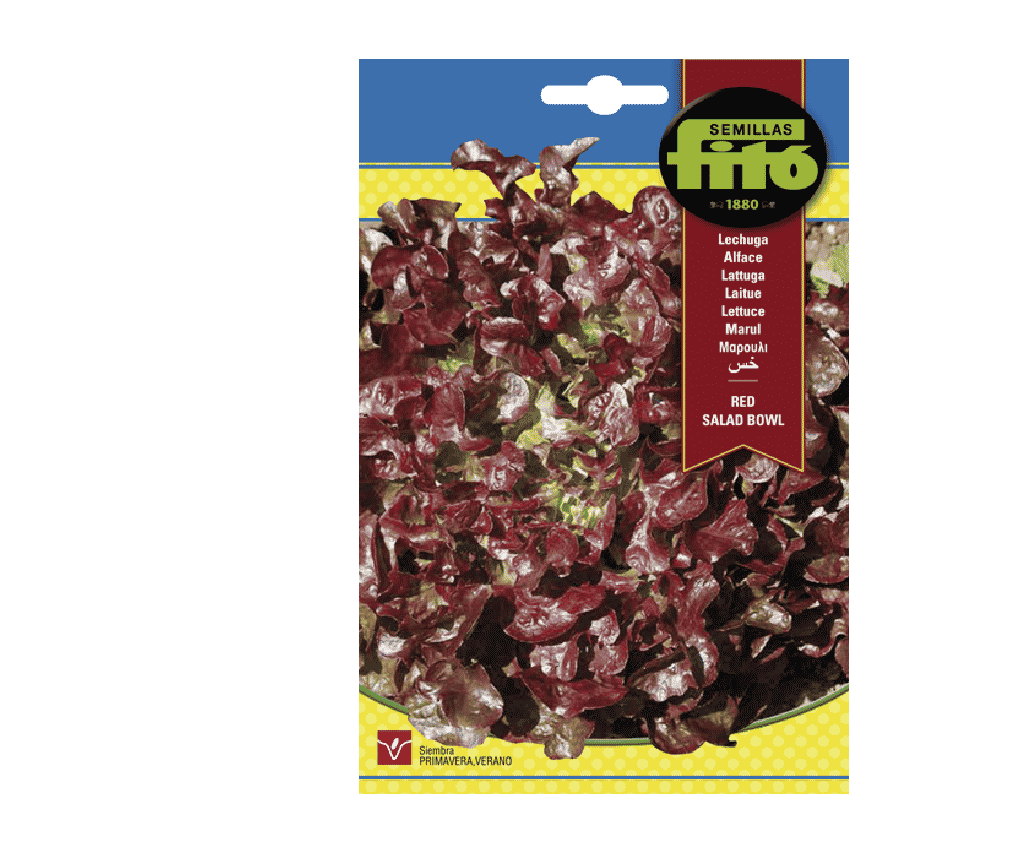 LECHUGA RED SALAD