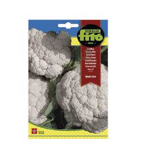 COLIFLOR MARESMA
