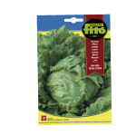 SEMILLAS DE LECHUGA BATAVIA VERDE – UTEBO
