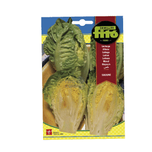 LECHUGA SUCRINE