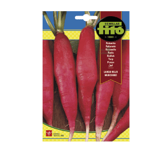 RABANITO LARGO ROJO MURCIANO