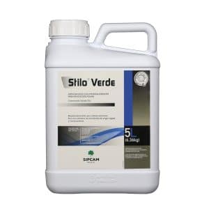 STILO VERDE