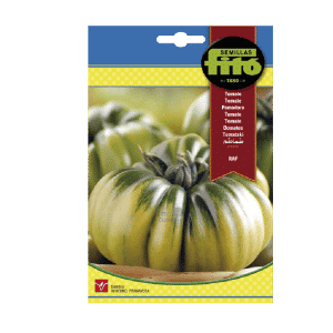 TOMATE RAF