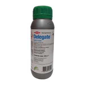 DELEGATE WG