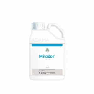 MIRADOR