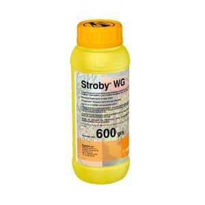 STROBY WG
