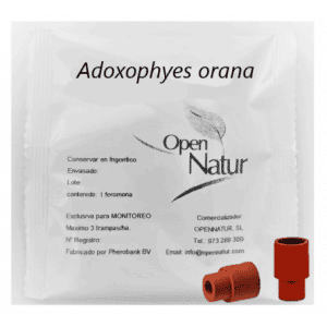 ADOXOPHYES ORONA