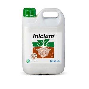 INICIUM 20 LT
