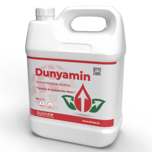 DUNYAMIN