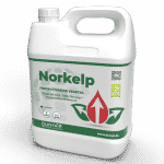 NORKELP