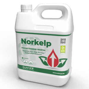 NORKELP