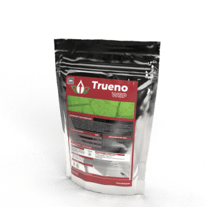 TRUENO