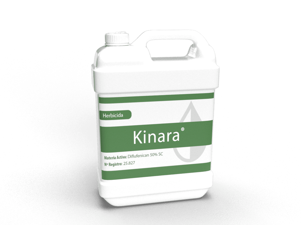 Kinara