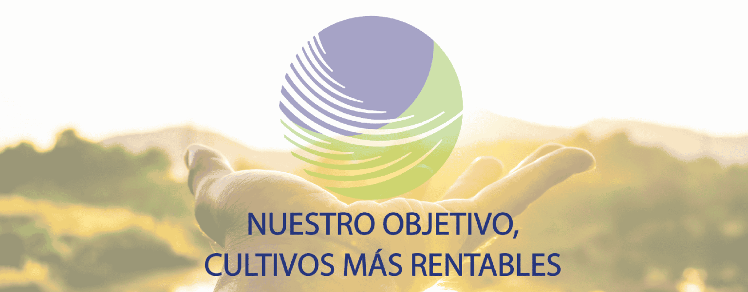 Nuestro objetivo